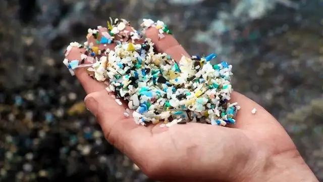 プラスチック廃棄物による地球環境の汚染